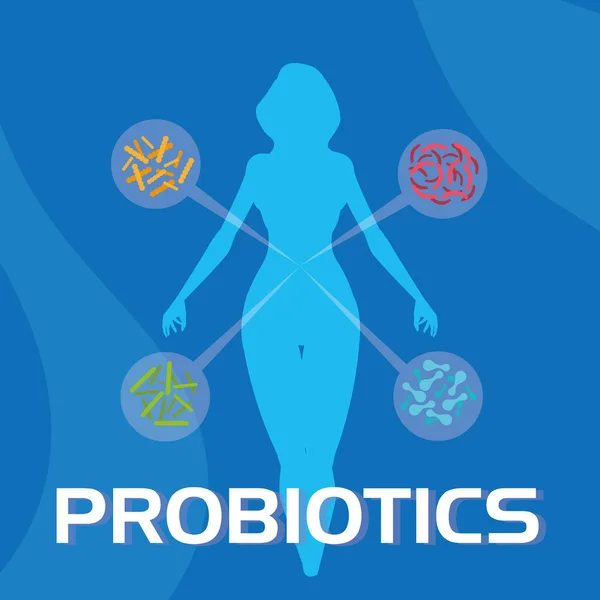 Corps de la femme avec des organismes probiotiques — Image vectorielle