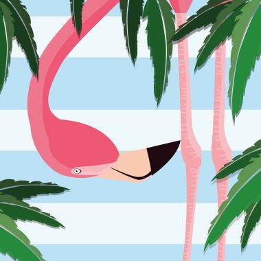 tropikal flamingo tasarım
