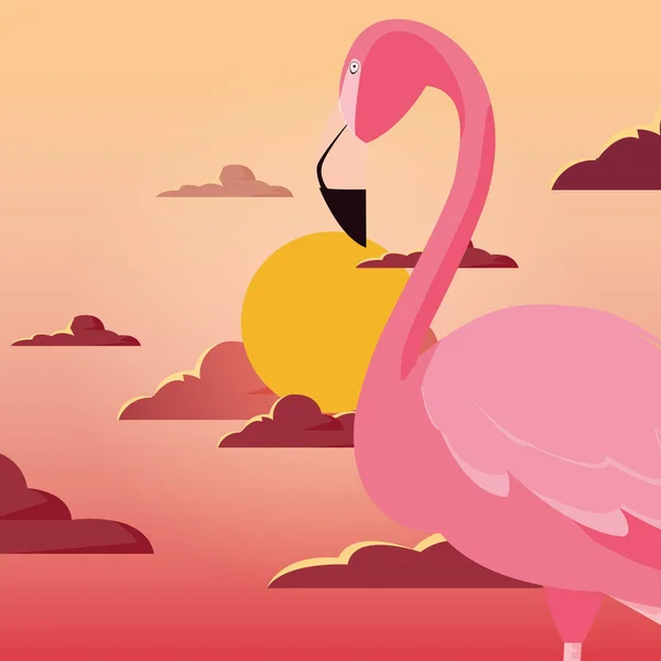 Niedlichen Flamingo Vogel Sonnenuntergang Rückwärtsgang — Stockvektor