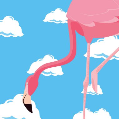 şirin flamingo gökyüzü