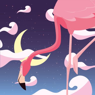 Gecenin flamingo kuşu