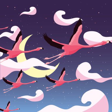 şirin flamingolar uçan
