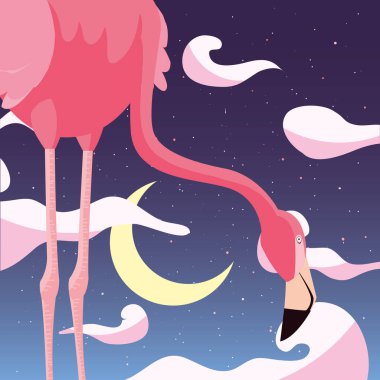 Gecenin flamingo kuşu