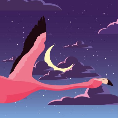 Gecenin flamingo kuşu