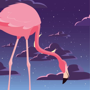 Gecenin flamingo kuşu