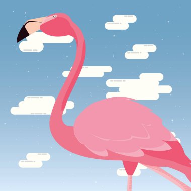 şirin flamingo gökyüzü