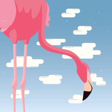 şirin flamingo gökyüzü