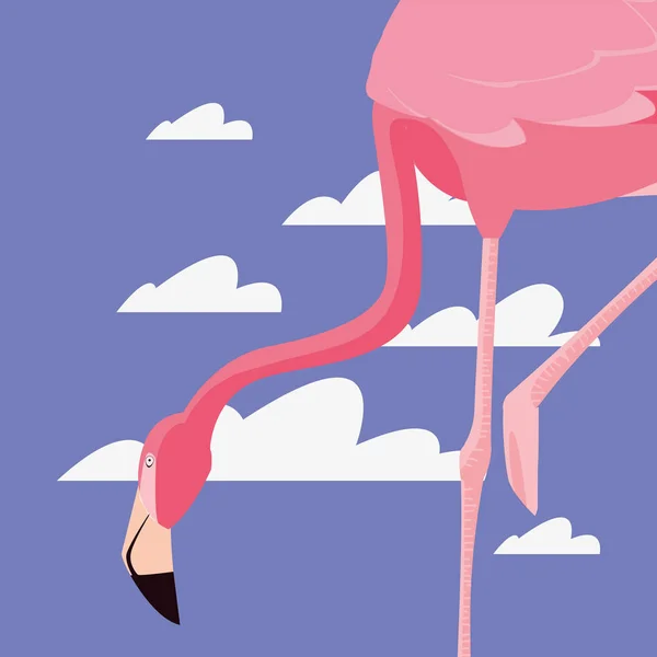 Schattig flamingo hemel — Stockvector
