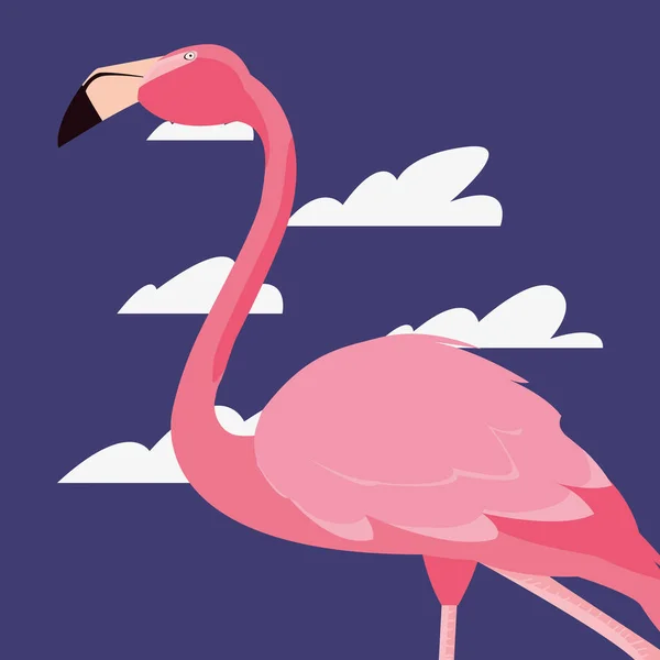 Céu flamingo bonito —  Vetores de Stock