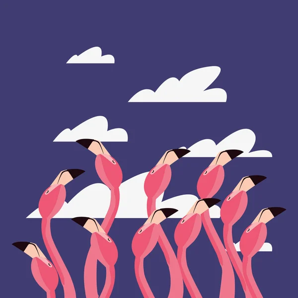 Flamingos exotische Vögel — Stockvektor