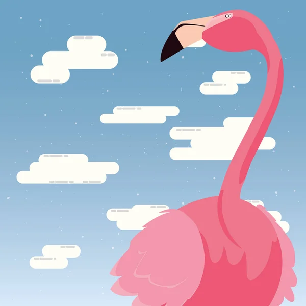 Schattig flamingo hemel — Stockvector