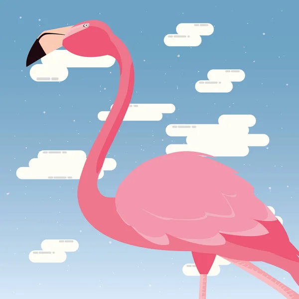 Niedlicher Flamingo-Himmel — Stockvektor