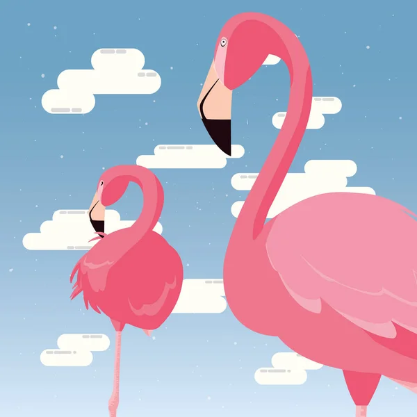 Flamingos exotische Vögel — Stockvektor