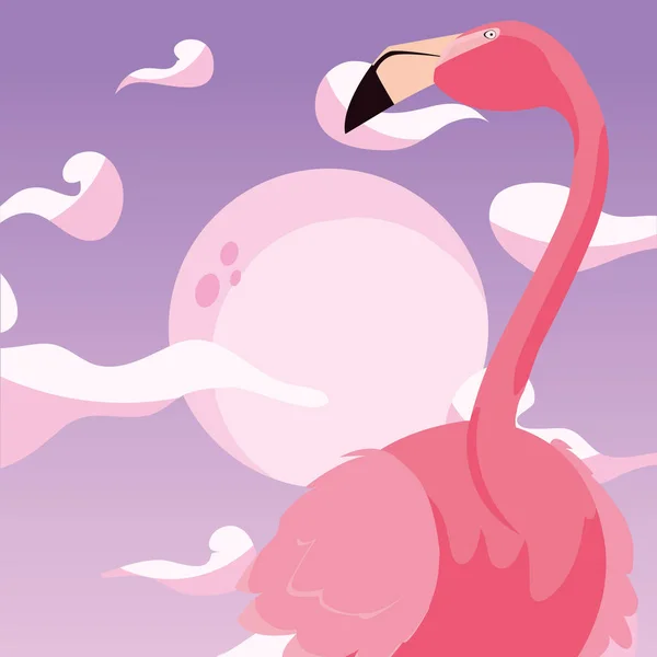 Flamingo pták měsíc pozadí — Stockový vektor