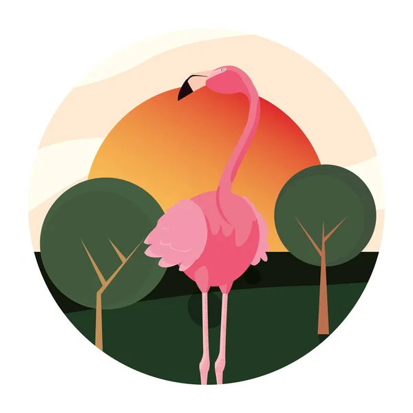 Pássaro flamingo na paisagem — Vetor de Stock