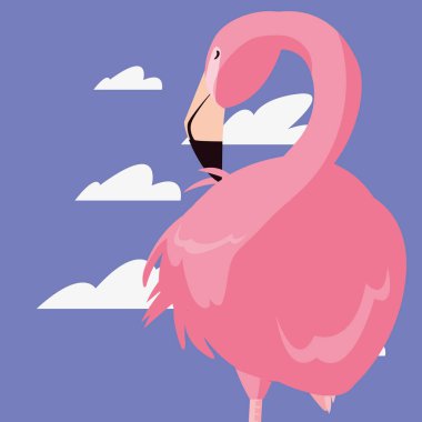 şirin flamingo gökyüzü
