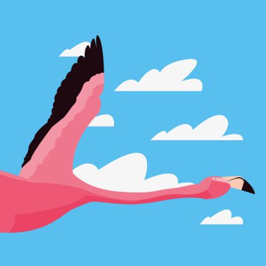 şirin flamingo uçan