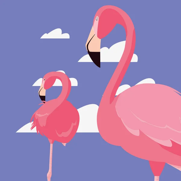 Фламінго екзотичні птахи — стоковий вектор