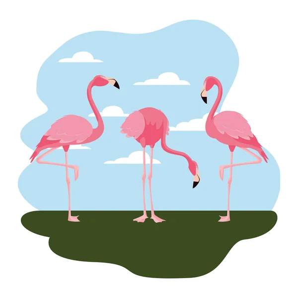 Flamingos im Stehen — Stockvektor