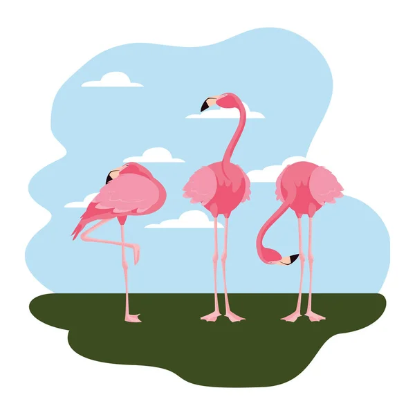 Flamingos im Stehen — Stockvektor