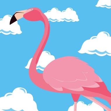 şirin flamingo gökyüzü