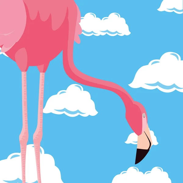 Симпатичное небо фламинго — стоковый вектор