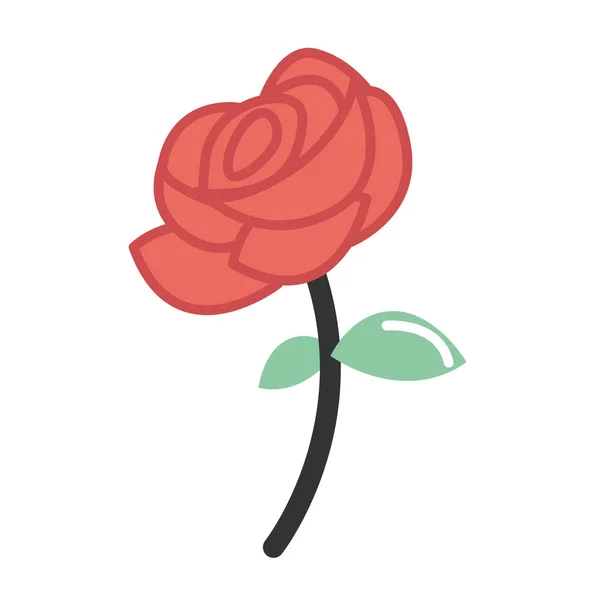 red flower rose
