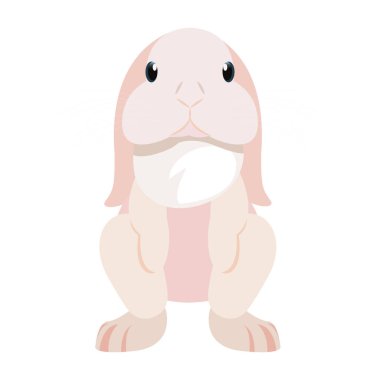 Sevimli tavşan hayvan.