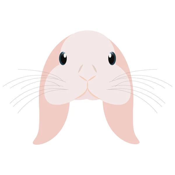 Lindo conejo cabeza — Archivo Imágenes Vectoriales