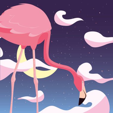 Gecenin flamingo kuşu