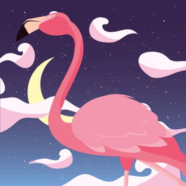 Gecenin flamingo kuşu