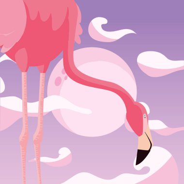 Flamingo kuşu ay arka plan
