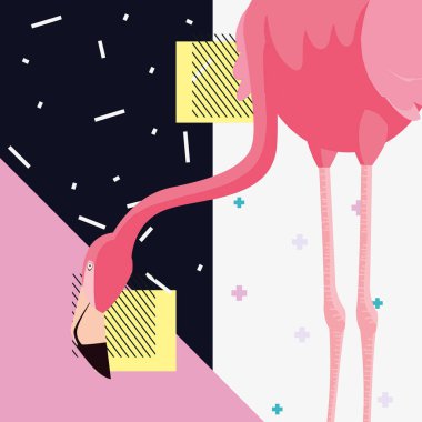 tropikal flamingo tasarım