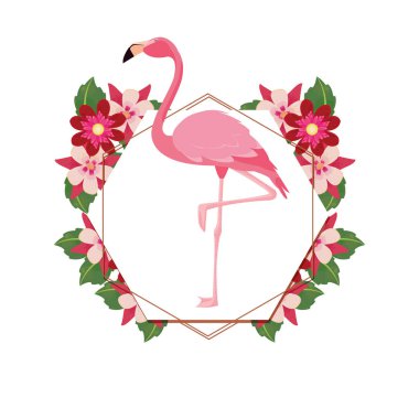 hassas flamingo çiçek çelenk çiçek