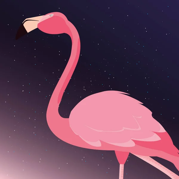 Flamingo-Vogel sternenklare Nacht — Stockvektor