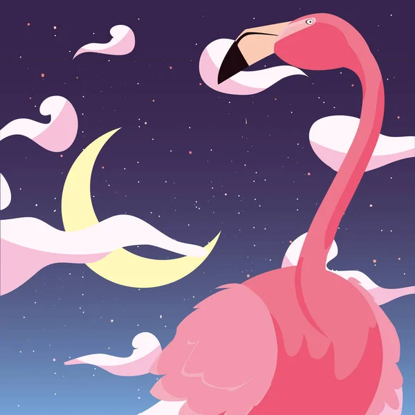 Flamingo vogel in de nacht — Stockvector