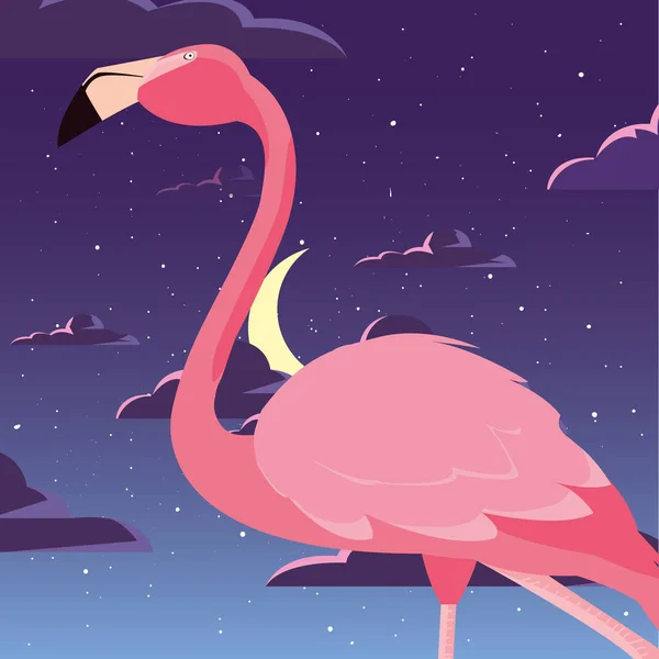 Flamingo-Vogel in der Nacht — Stockvektor