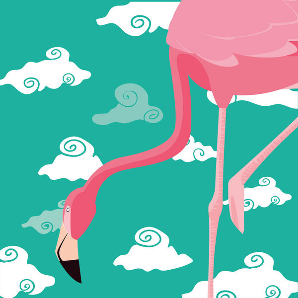 cute flamingo sky