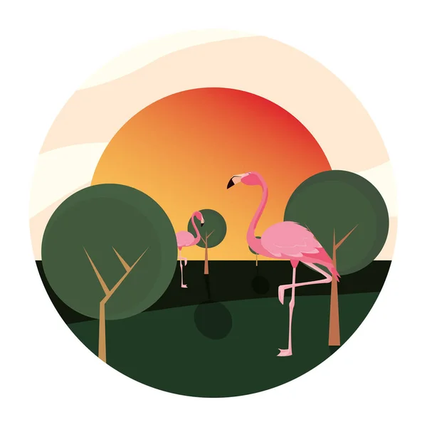 Flamingo vogels uit het landschap — Stockvector