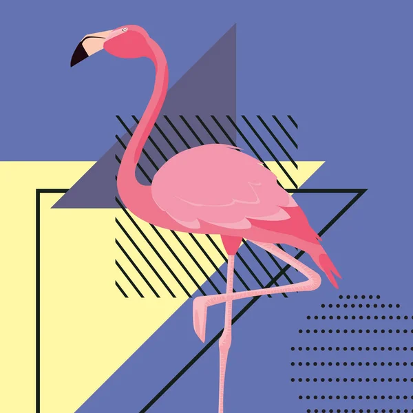 Projeto de flamingo tropical — Vetor de Stock