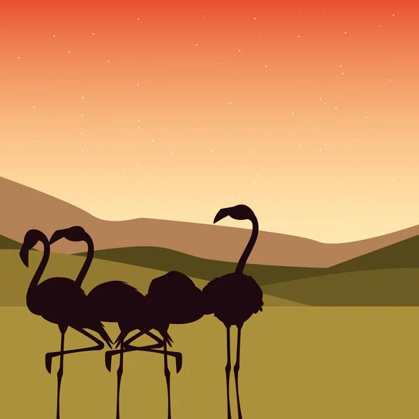 Silhuette Flamingo's in het landschap — Stockvector