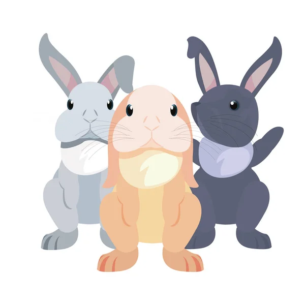 Cute rabbits cartoon — Stock Vector