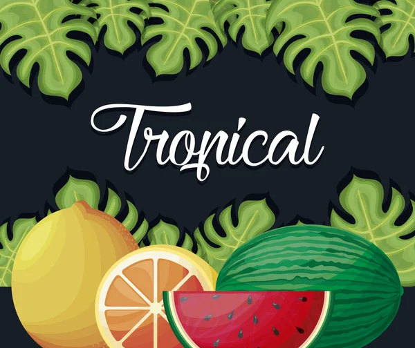 Sandía con frutas frescas de naranja tropicales — Vector de stock