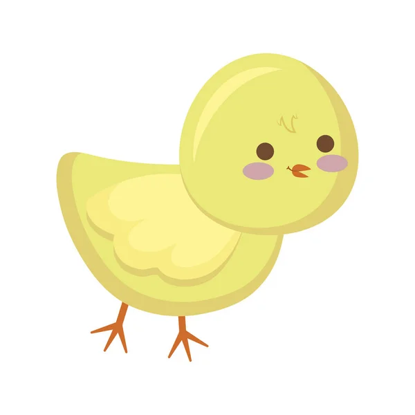 Lindo pollo animal aislado icono — Archivo Imágenes Vectoriales