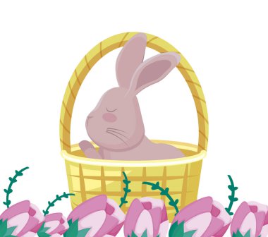 sevimli tavşan çiçekli sepet sepet kamışı