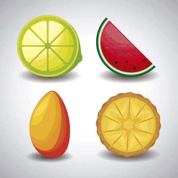 Wassermelone mit frischen Früchten — Stockvektor