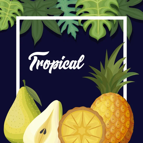 Peras frescas e frutos tropicais de ananás —  Vetores de Stock