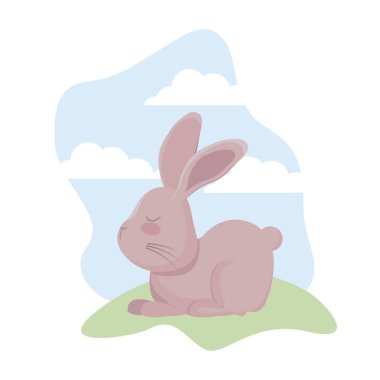 sevimli tavşan hayvan çim