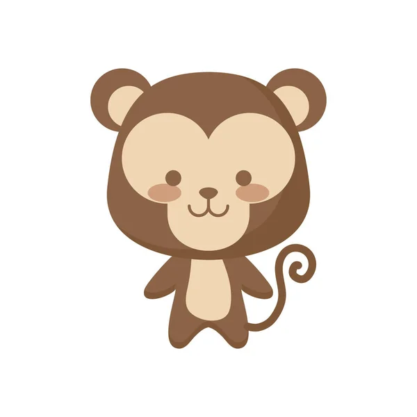 Macaco bonito personagem animal —  Vetores de Stock