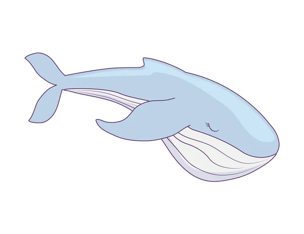 Lindo icono de ballena aislada — Vector de stock